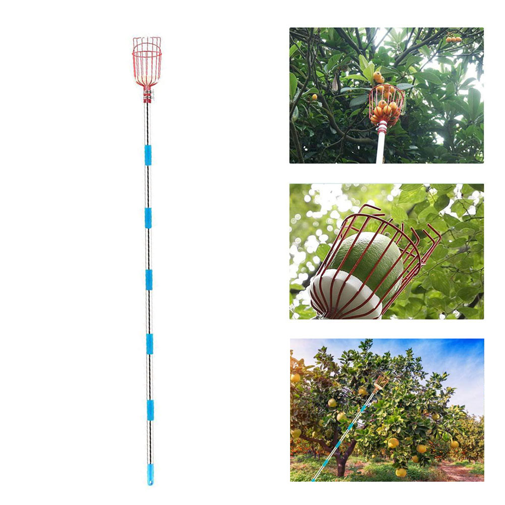 Cueille-fruits Télescopique 4 Mètres - Perche Réglable, Sac Inclus, Pour Verger - 12